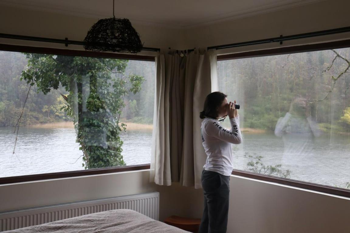 Vila Casa Rio Vivo Valdivia Pokoj fotografie