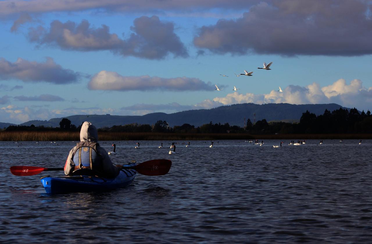 Vila Casa Rio Vivo Valdivia Exteriér fotografie
