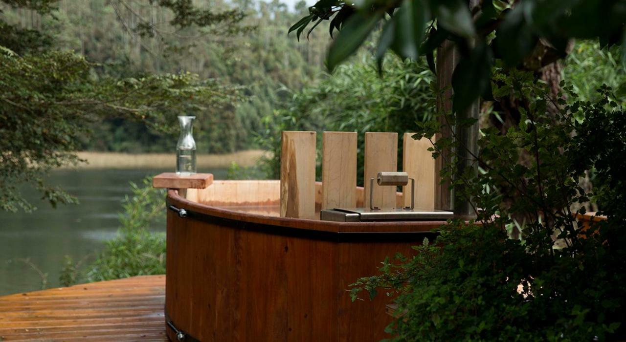 Vila Casa Rio Vivo Valdivia Exteriér fotografie
